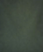 Premium-quality backdrop roll by Between Pictures Project, ideal for fashion shoots and interviews.
