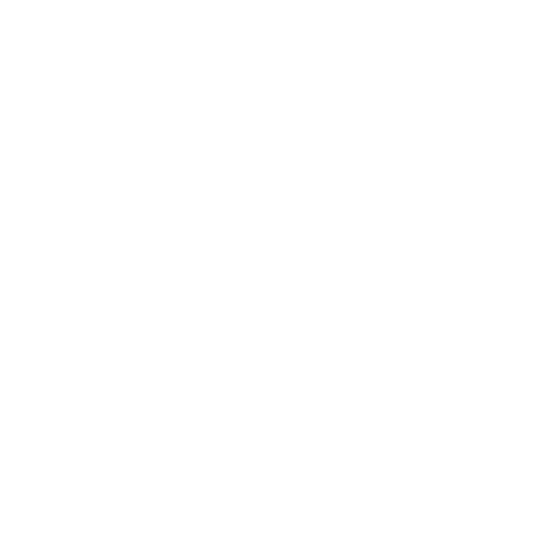 Faency Fries White logo .png