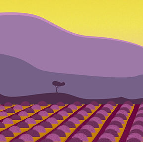 Gros plan crêtes paysage de provence – affiche lavandes