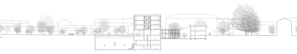 Luchswiesen - Querschnitt