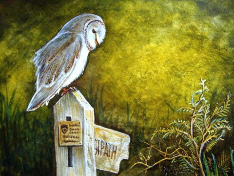 Barn owl on a walking path sign, watercolor painting (Original: SOLD)