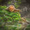 Thumbnail: “Mossy Friends” Giclee Lustre Prints