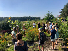 het heerlijke land
