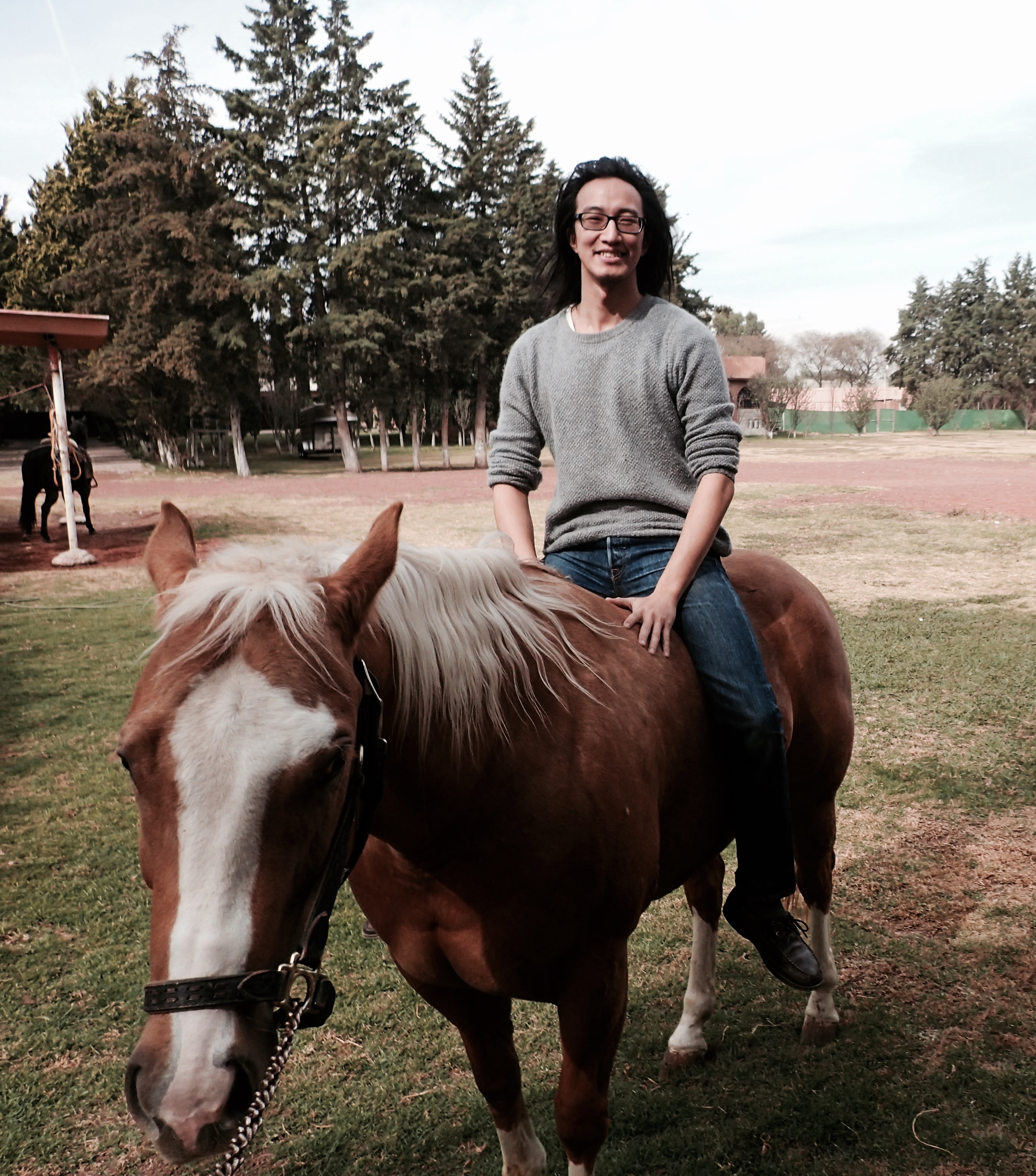 One horse power.