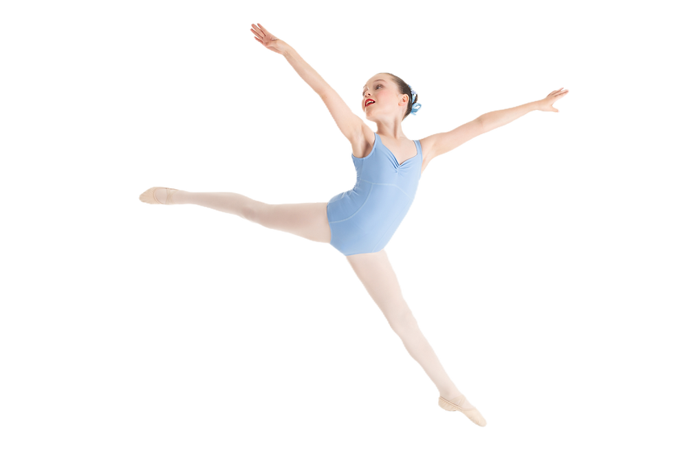 Elegance Part Time Classical Program