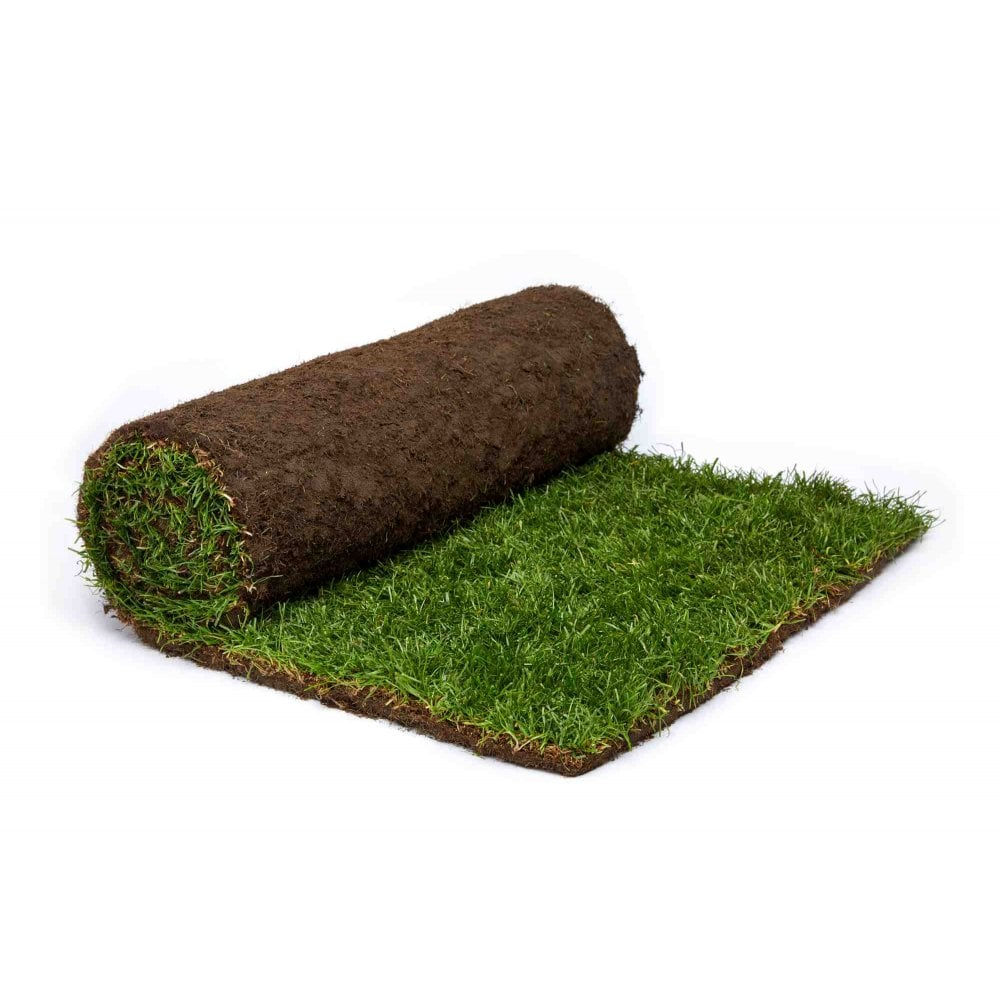 Roll of Turf 1SQ M