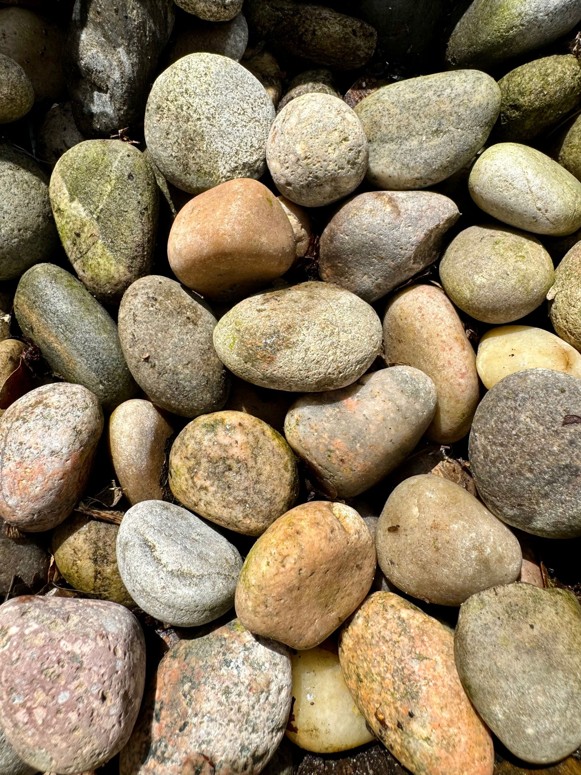Caledonian Pebbles 20 - 30MM