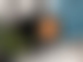 Woodburners vs Multi-Fuel: What's the Best Choice?