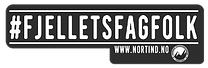 image-asset.png