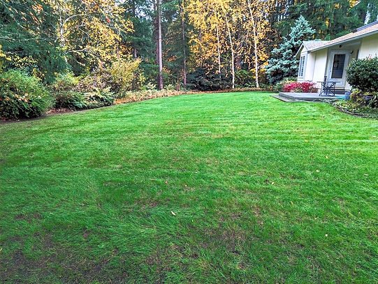 Lawn Maintenance