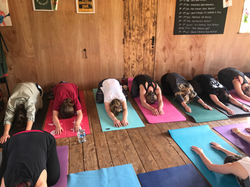 1807D45B-79D9-4C29-AB68-72C5CAAF62B4