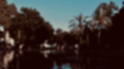 IMG_1176.jpeg