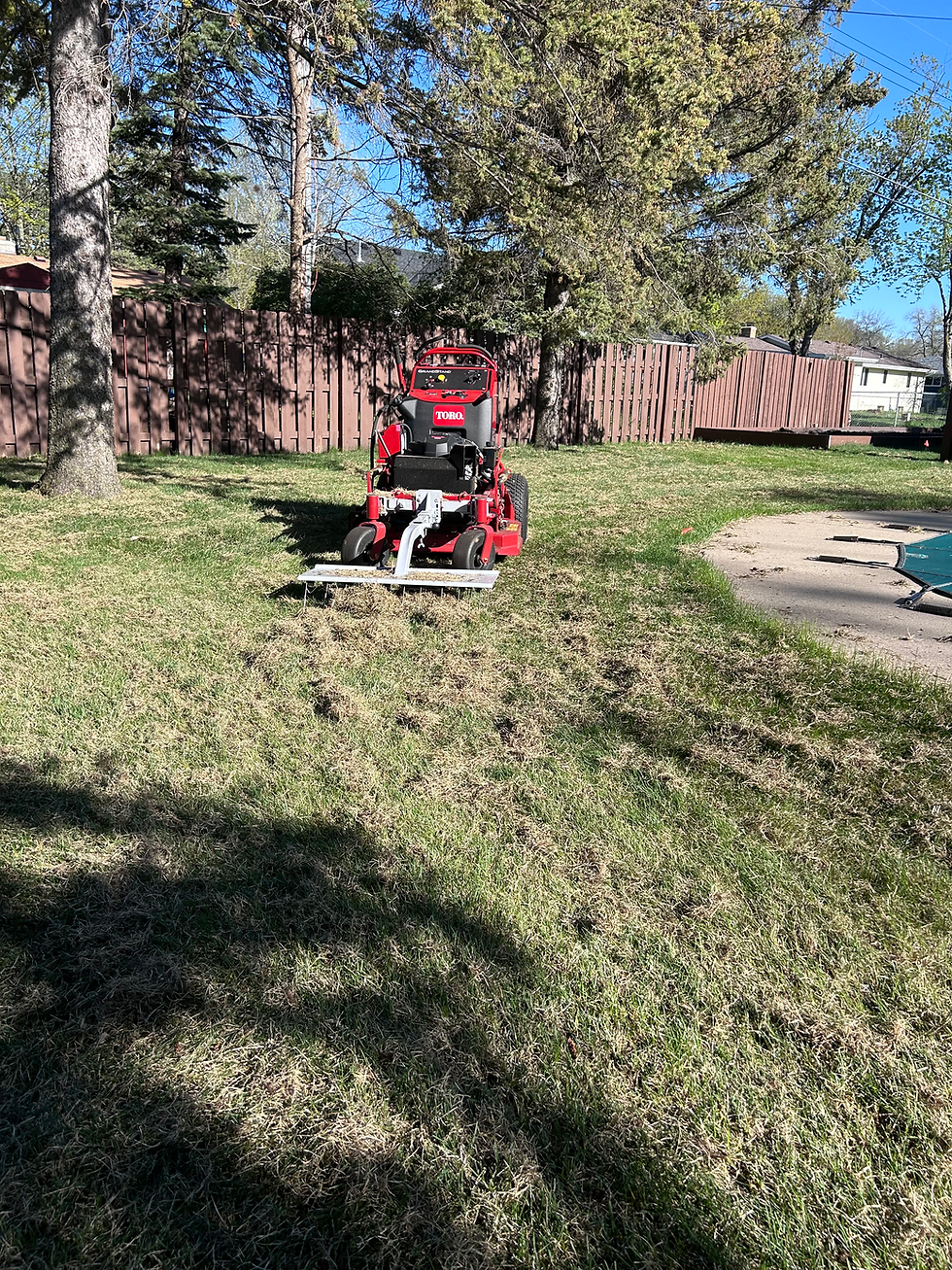 Residential Lawn dethatching removing tatch buildup for a healtheir lawn