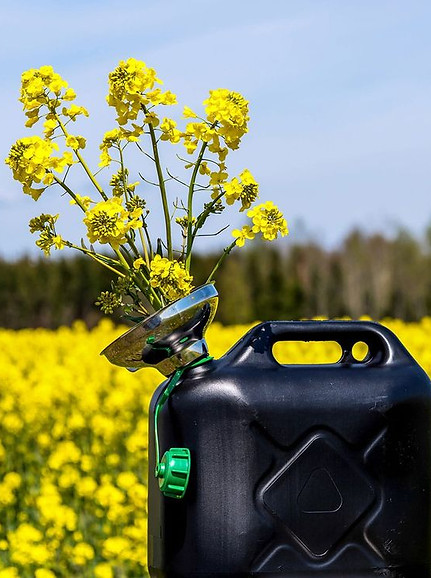 National Biodiesel Day.jpg
