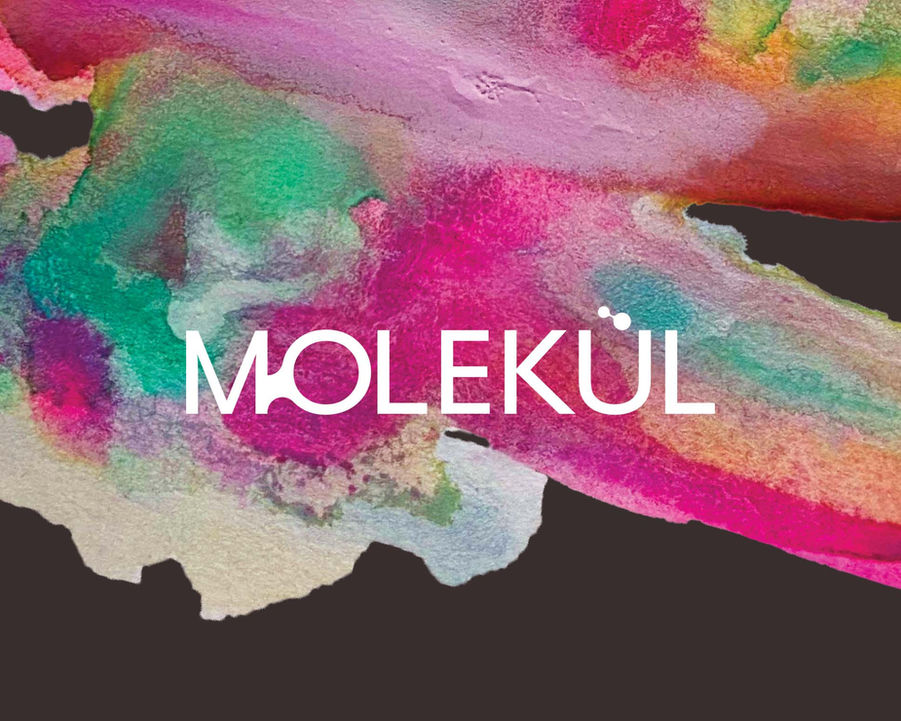 Molekul artisan chocolate logo