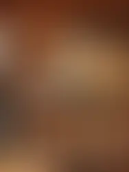 Cultivando el Futuro: Las Tendencias Web que Transforman la Compra de Productos Agrícolas