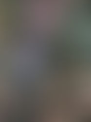 La digitalización ha transformado la creación en capital.