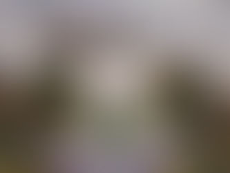 History of the Rue Benjamin-Franklin (Paris)