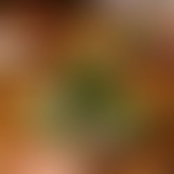 Comment l’Alimentation Façonne Discrètement votre Odeur Naturelle