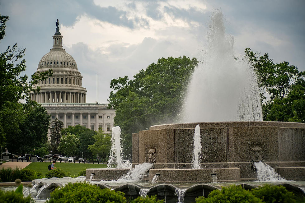 Photo by Ramaz Bluashvili: https://www.pexels.com/photo/us-capitol-and-fountain-scenic-view-in-washington-dc-32177175/