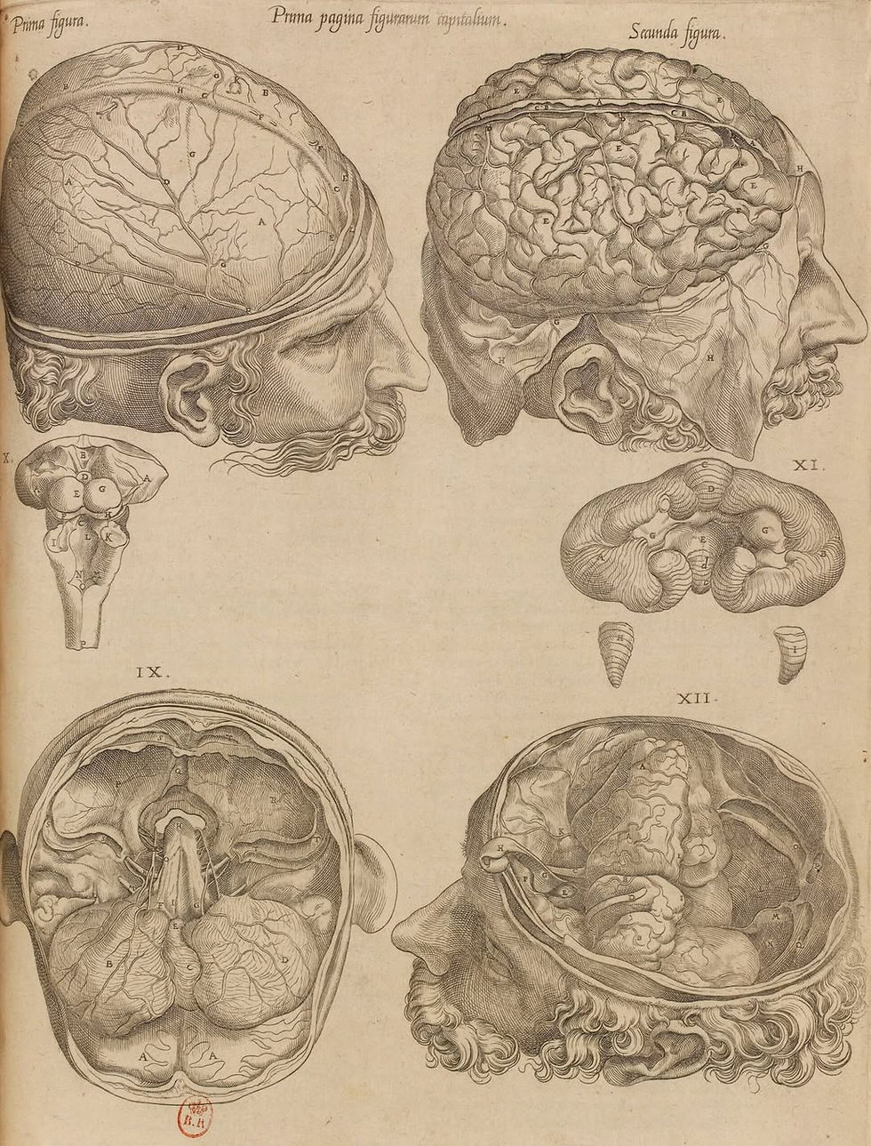 Photo: Gallica BnF