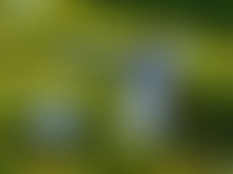 Fairway to Fairway: A brief Analyze of the Distinctions Between American and French Golfers