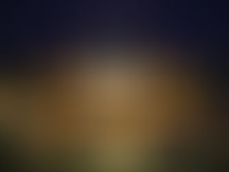 Interview with Vincent Valat, the Frenchman Known as the “Wolf of Monaco”