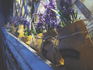 Bringing the Romance of French Gardens Indoors for Cozy Living