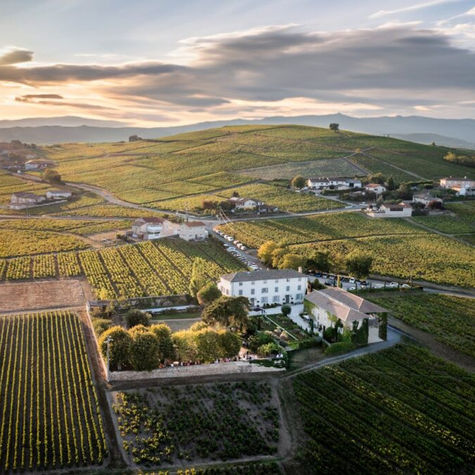 Exploring French Wine Regions from Bordeaux to Burgundy