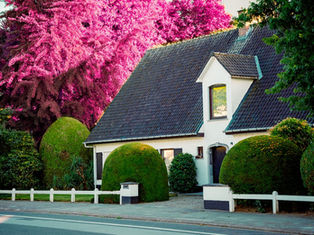 8 Main Reasons To Launch A Real Estate Business 
