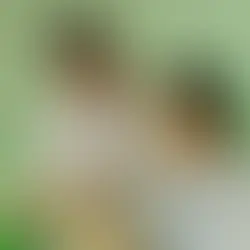 Exploring Protein Expression: A Comprehensive Overview