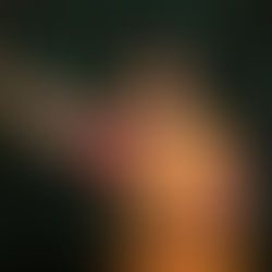 A Timeless Tapestry: The Connection Between French Fashion and Indian Ethnic Wear