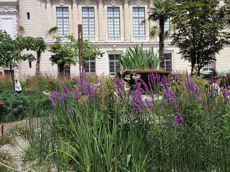 Le Jardin Secret des Livres : à l'Intérieur du Jardin Vivienne Extraordinaire de la BnF à Paris