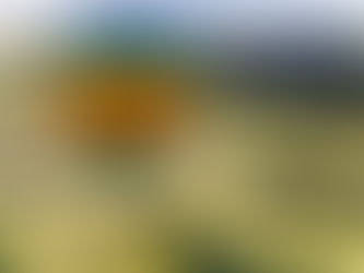 Escapades aventureuses : des activités uniques pour pimenter votre routine