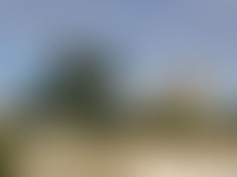 Préserver le patrimoine français : les efforts de restauration et de conservation