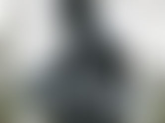 D’Artagnan Revisited? Unearthing a Legend Between Historical Fact and Literary Myth