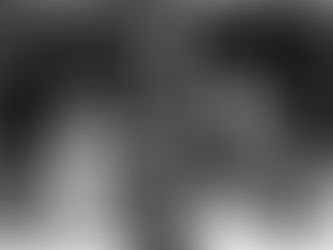 Chicago’s 19th Century ‘’Little Québec‘’