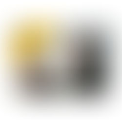 Mastering U.S. Business Etiquette: How to Build Trust and Succeed