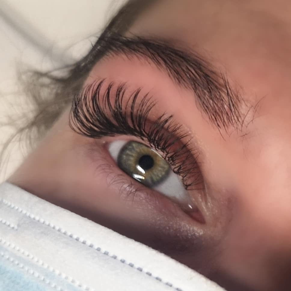 Cat eye lashes D curl individual eyelashes by LBK