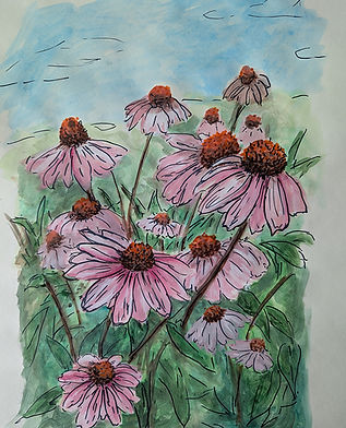 PXL_20250905_190944436 - jo white.jpg