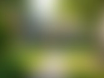 Mastering Rental Property Strategies for Success