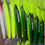 Thumbnail: Rapala Lures - Branded PZ Fishing