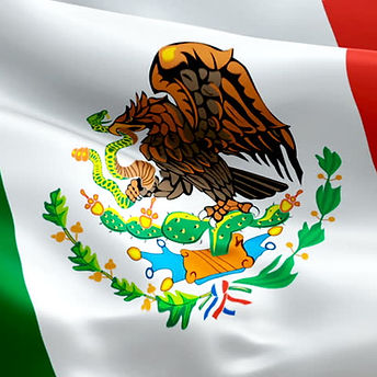 MEX.jpeg