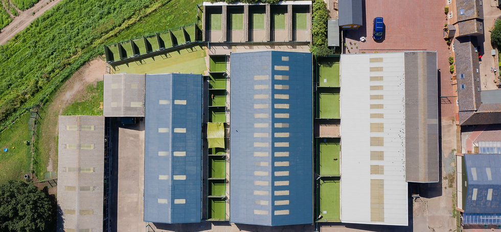 A drone shot of grove luxury dog boarding kennels