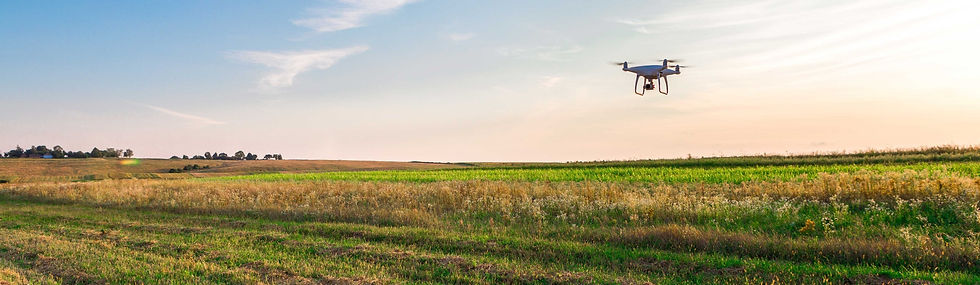 Drone hovering in crop field