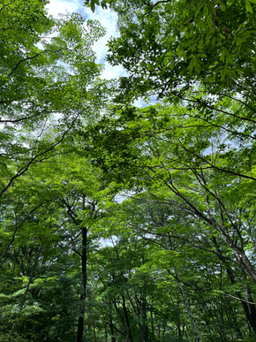 曲〜思い浮かぶ情景
