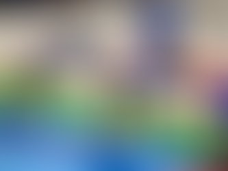 Police report lodged over fin swimmers’ falsified results for 2023 SEA Games selection