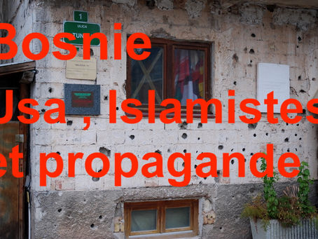 La guerre du Bosnie 1993-1994 2ème Partie 