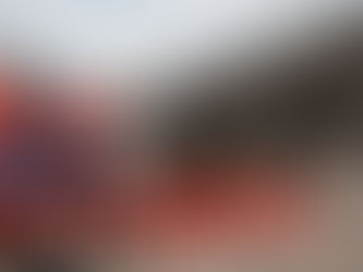 Ils se sont toujours trompés 