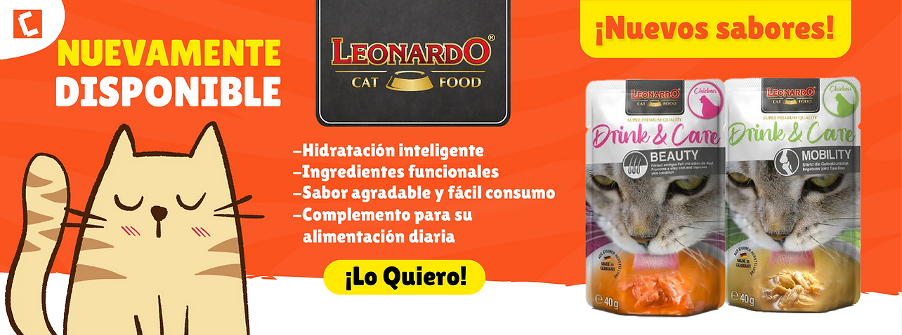 banner WEB leonardo-03.png